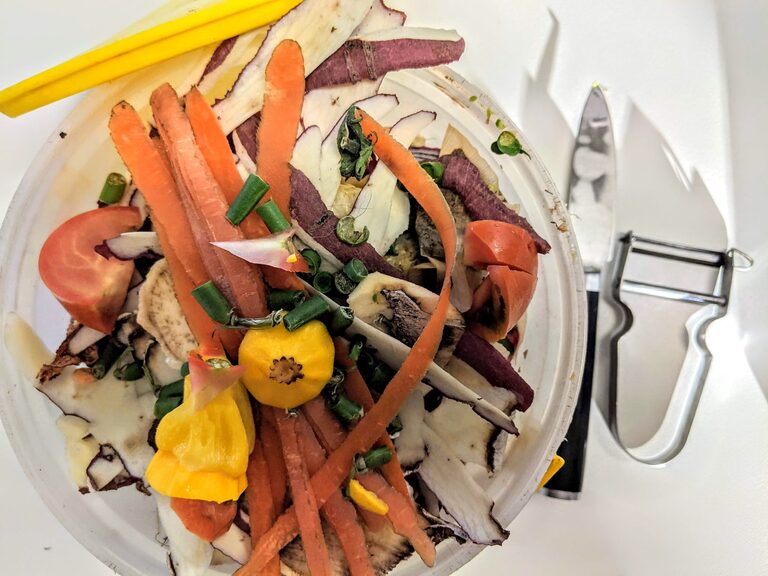 Beginner Tips for Composting at Home